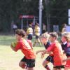 Rugby - 