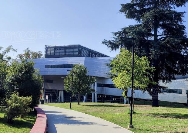 Campus Universitario: gli Eventi - Diogene Annunci Economici Forlì