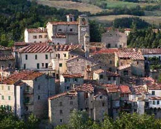 Centro paese: gli Eventi - Diogene Annunci Economici Forlì