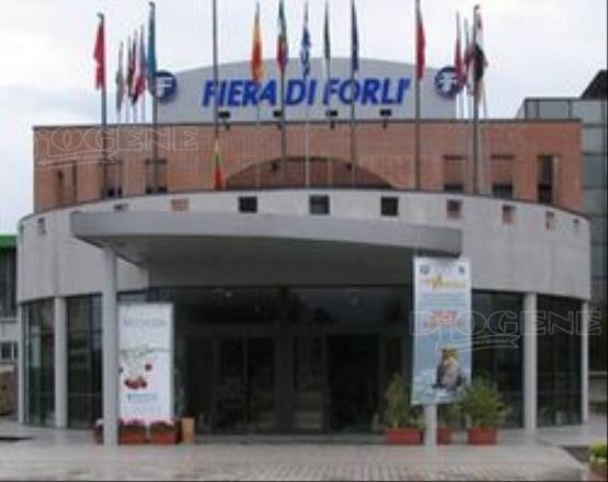 Fiera di Forlì: gli Eventi - Diogene Annunci Economici Forlì