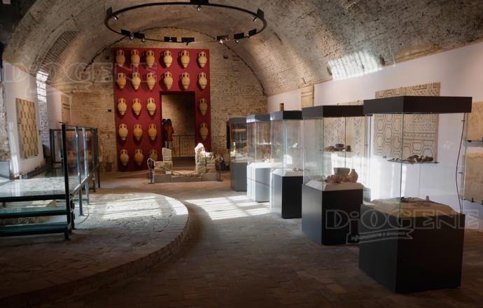 Museo Archeologico di Forlimpopoli: gli Eventi - Diogene Annunci Economici Forlì